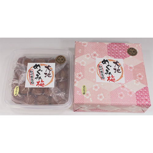 「紀州南高梅 大地めぐみ梅」特選はちみつ梅 塩分約８％ 720ｇ