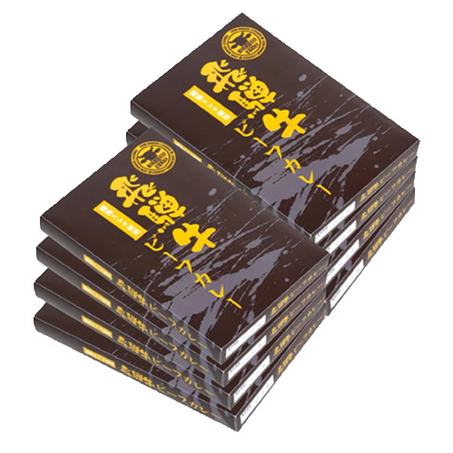 【岐阜県】飛騨牛ミンチビーフカレー8食